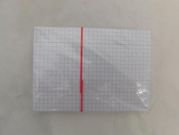 Preview: Karteikarten RNK DIN A6 - kariert - 100 Stück