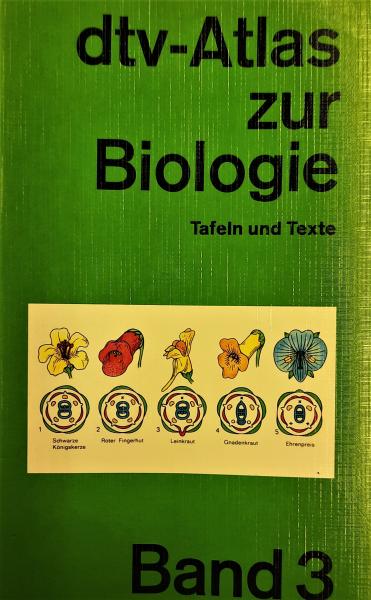 dtv-Atlas zur Biologie  Band 3