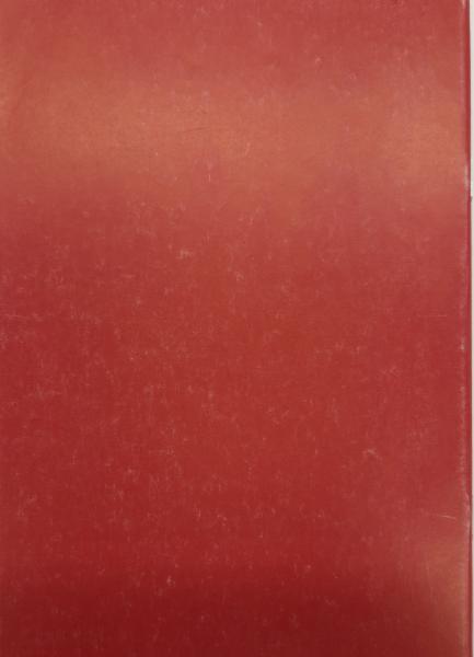 Luftbildarchäologie in Westfalen