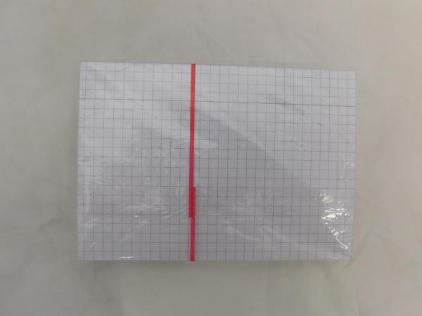 Karteikarten RNK DIN A6 - kariert - 100 Stück